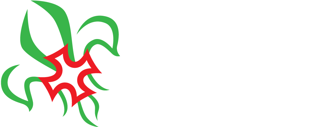 Logotipo CNE