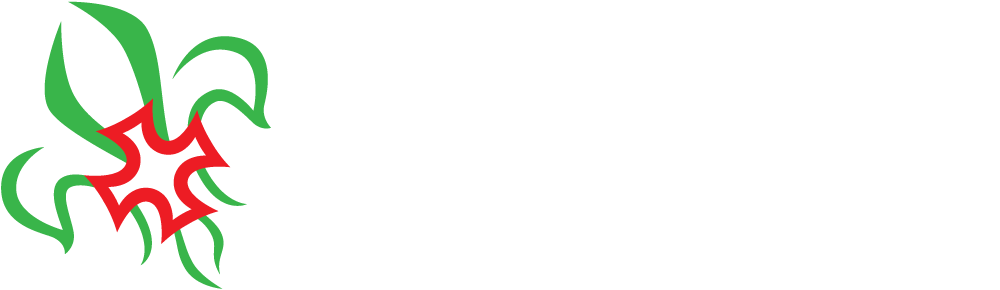 Logotipo Junta Regional Braga