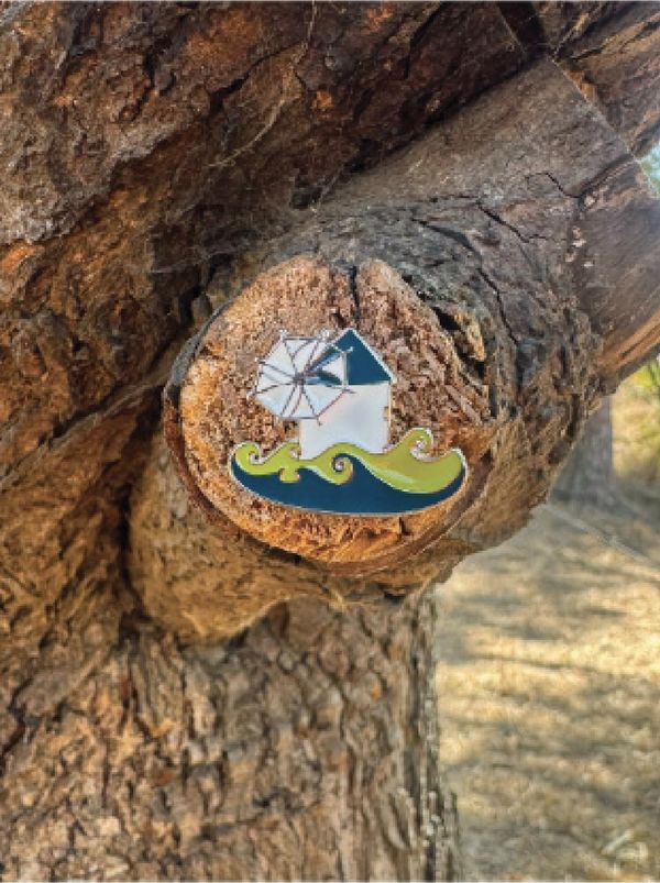 Pin do ACE