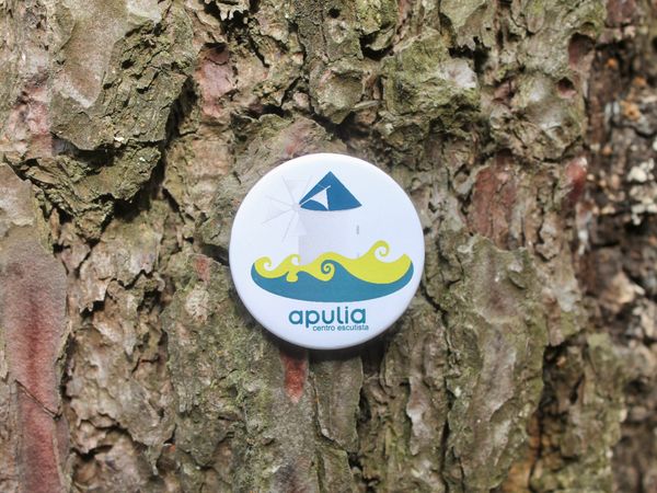 Non-metallic ACE pin