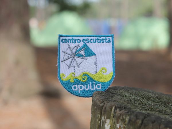ACE badge