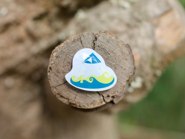 ACE pin