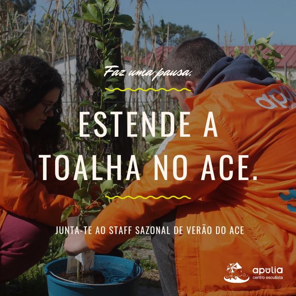 Cartaz Staff Sazonal verão 2024: Estende a toalha no ACE!