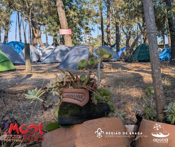 Rover Moot 2025 no ACE - 3